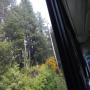 DSCN4434.JPG