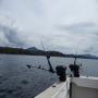DSCN4465.JPG