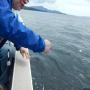DSCN4479.JPG
