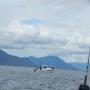 DSCN4485.JPG
