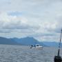 DSCN4486.JPG