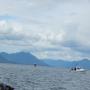 DSCN4490.JPG