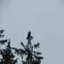 DSCN4497.JPG
