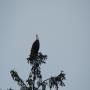 DSCN4498.JPG
