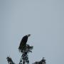 DSCN4499.JPG