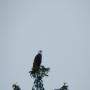 DSCN4501.JPG