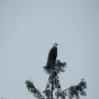 DSCN4502.JPG