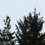 DSCN4506.JPG