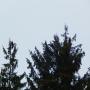 DSCN4507.JPG