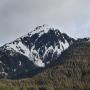 IMG_0283.JPG
