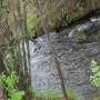 IMG_0441.JPG