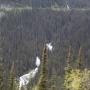 IMG_0564.JPG