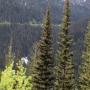 IMG_0569.JPG