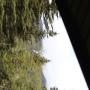 IMG_0572.JPG