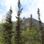 IMG_0586.JPG
