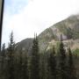 IMG_0774.JPG