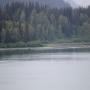 IMG_1068.JPG