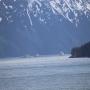 IMG_1083.JPG