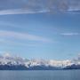 IMG_1100.JPG