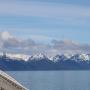 IMG_1117.JPG
