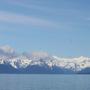 IMG_1118.JPG