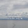 IMG_1126.JPG
