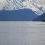IMG_1151.JPG