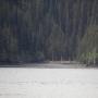 IMG_1241.JPG