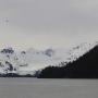 IMG_1246.JPG