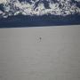 IMG_1259.JPG