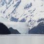 IMG_1335.JPG