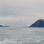 IMG_1343.JPG