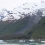IMG_1354.JPG