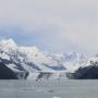 IMG_1450.JPG