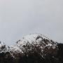 IMG_1463.JPG