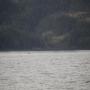 IMG_1479.JPG