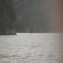 IMG_1483.JPG