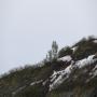 IMG_1529.JPG