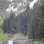 IMG_1596.JPG