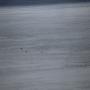 IMG_1626.JPG