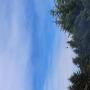 IMG_1683.JPG