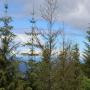 IMG_1725.JPG
