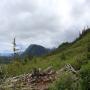 IMG_1761.JPG