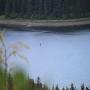 IMG_1783.JPG