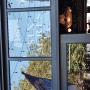 IMG_20240619_155055599.jpg