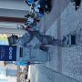 IMG_20240619_171207665.jpg