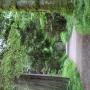 IMG_2152.JPG