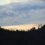 IMG_9925.JPG