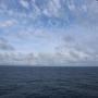 IMG_9973.JPG