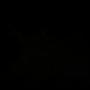 PXL_20260715_032549308.NIGHT.jpg